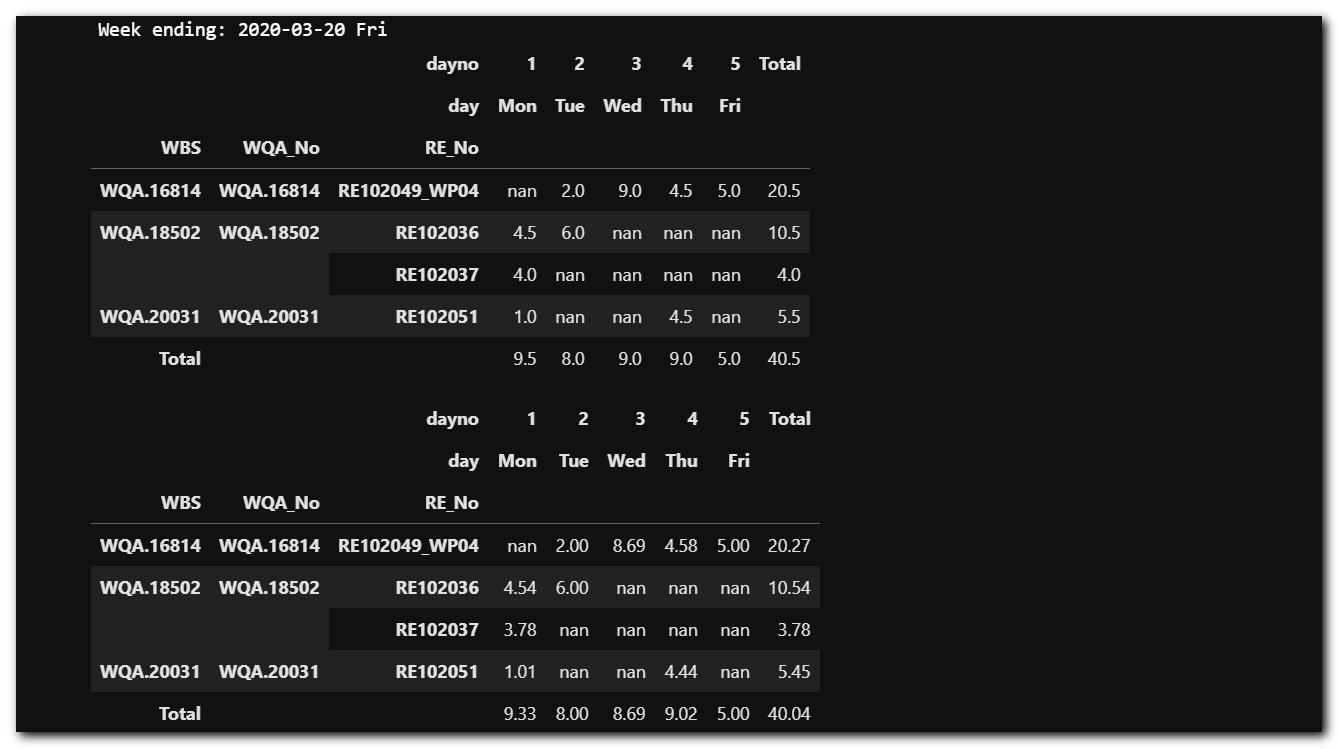 pandas DataFrame in a timesheet based format
